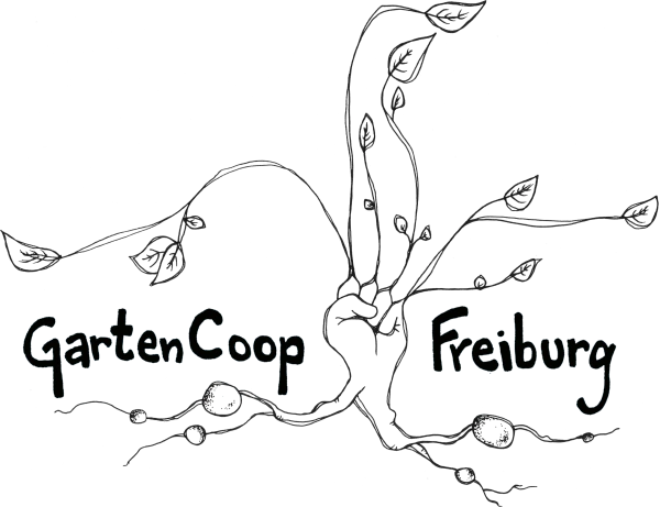 Offizielles Logo der GartenCoop Freiburg: Eine kreative Strichzeichnung zeigt eine Pflanze, die aus Kartoffelwurzeln wächst und deren Stiel in eine geballte Faust übergeht – ein starkes Symbol für selbstorganisierte, solidarische Landwirtschaft.
