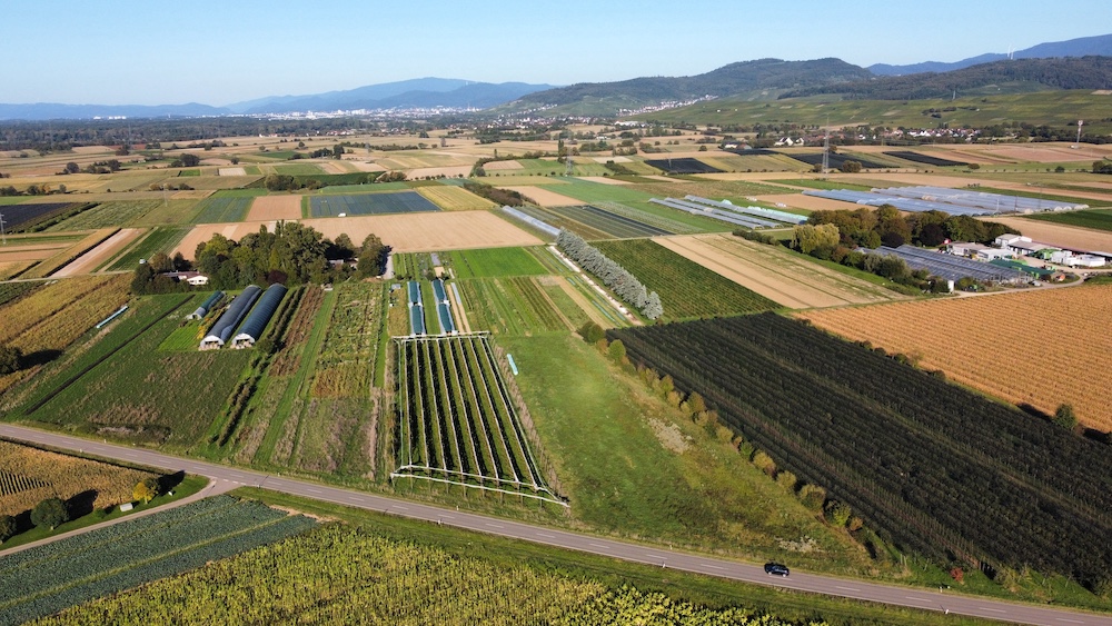 Luftbild der neuen Flächen von der Gartencoop Freiburg die gekauft werden soll