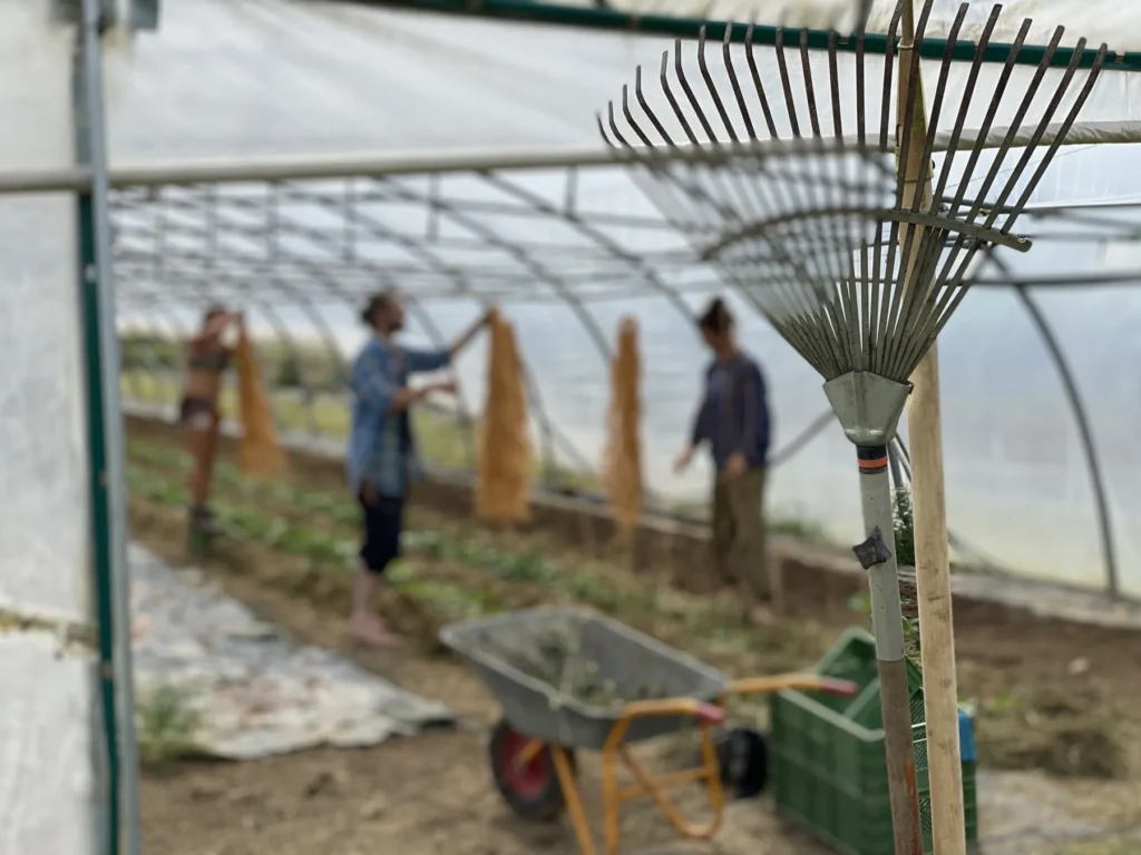 Vorbereitungen im Folientunnel: Ein Rechen und eine Schubkarre stehen fokussiert im Vordergrund, während im Hintergrund drei Mitglieder der Gartencoop gemeinsam Rankhilfen für das neue Gemüse aufhängen.