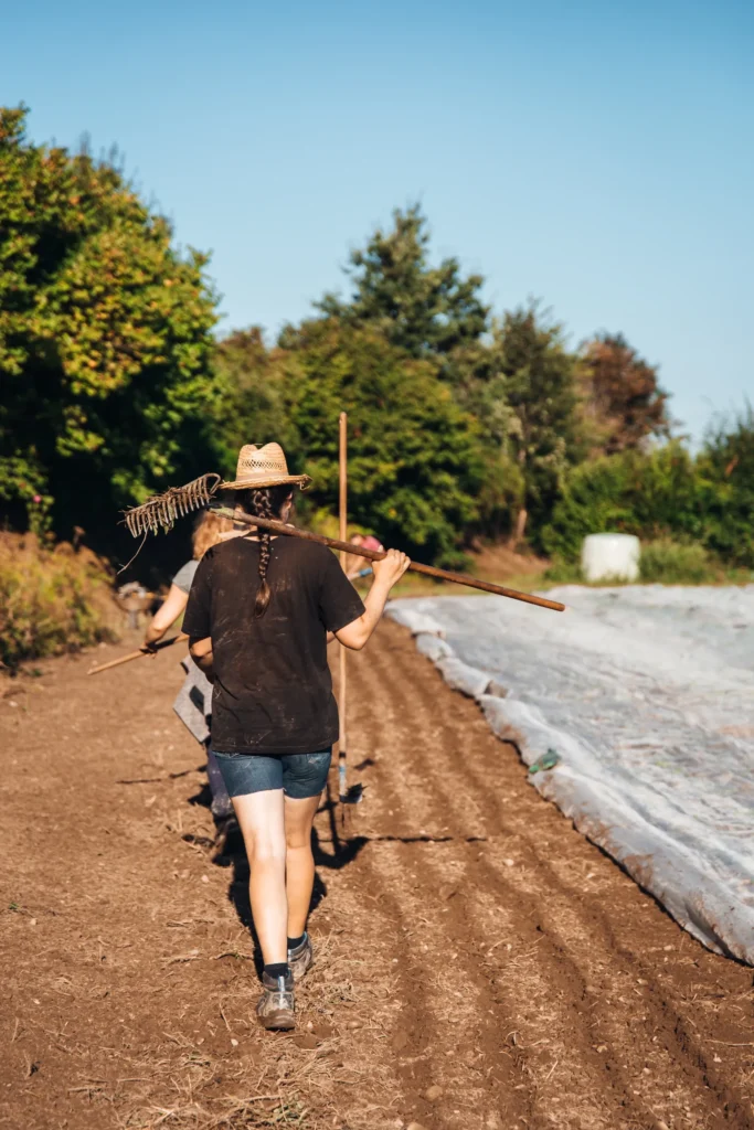 Eine Gärtnerin mit Strohhut trägt einen Rechen über der Schulter und läuft an einem sonnigen Tag zur Feldarbeit über den Acker des Lebensgarten Dreisamtal.