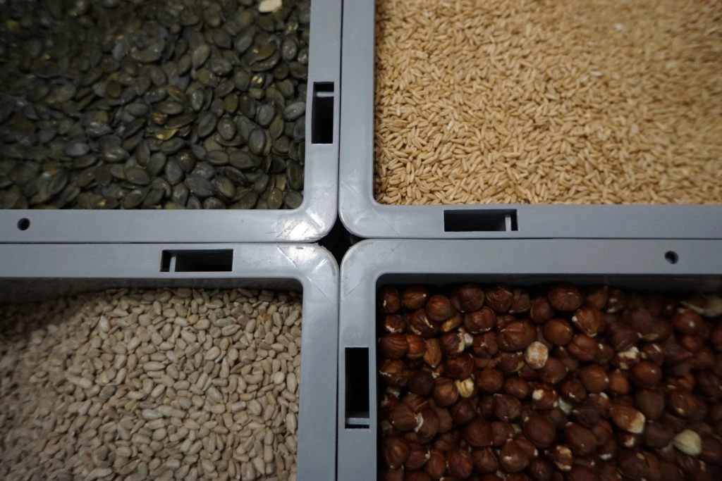 Große Auswahl an loser Ware: Blick von oben auf vier offene Vorratskisten der FoodCoop L13, prall gefüllt mit Kürbiskernen, Getreide, Sonnenblumenkernen und Haselnüssen.