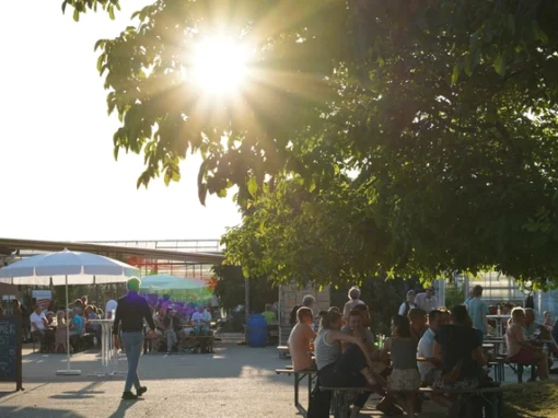 Sommerfest & 30 Jahre Piluweri